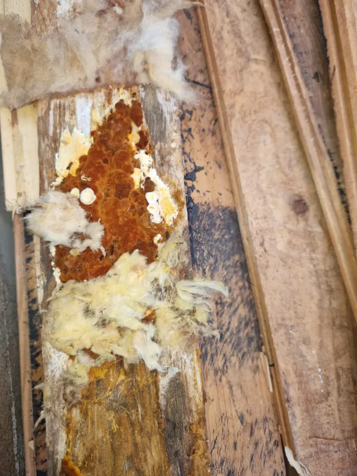 Geöffnetes Flachdach mit feuchter, verfärbter Dämmung und Holzschalung