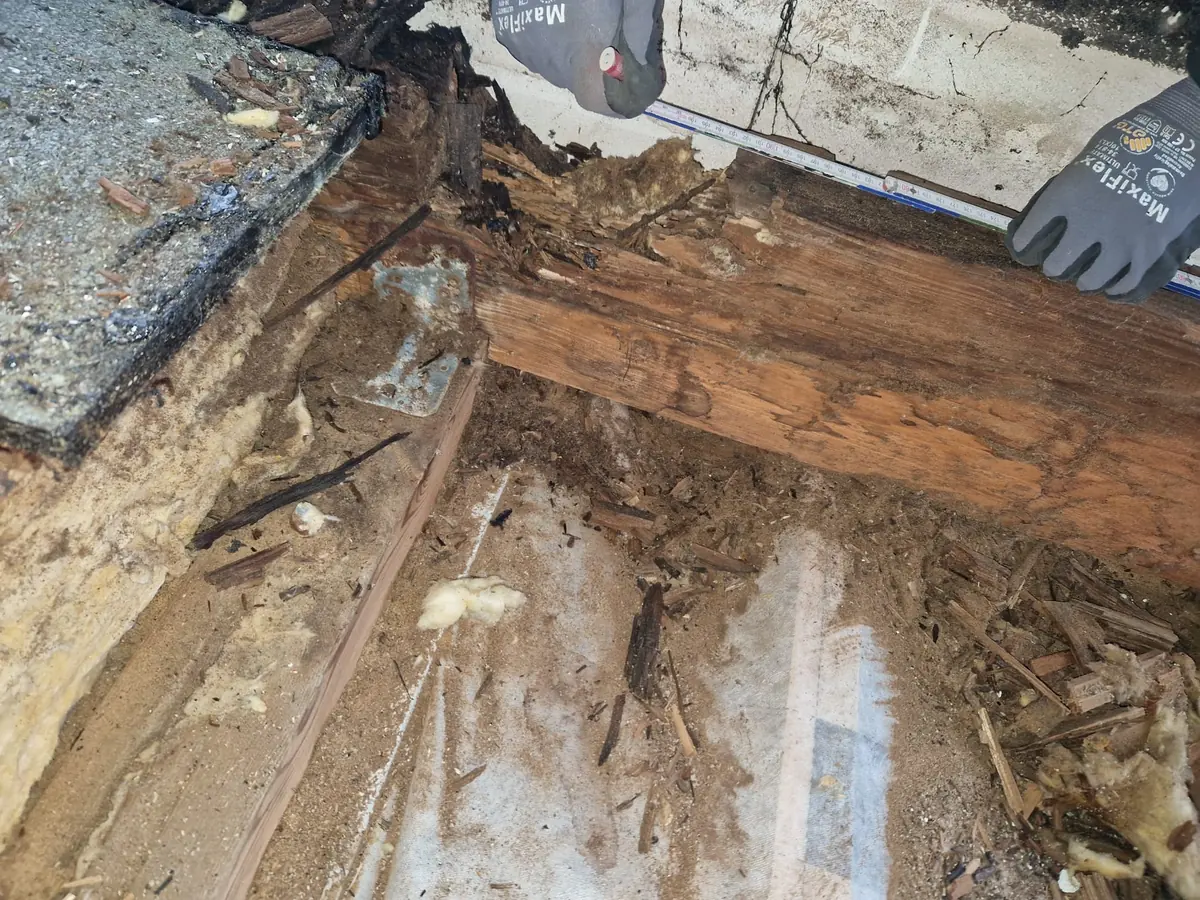 Morsches Holz der Unterkonstruktion am Rand eines Flachdachs